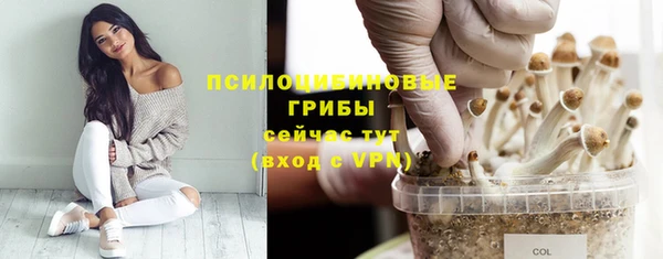 мяу мяу мука Алексеевка