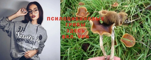 гидра Алексин