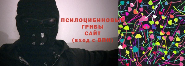 гидра Алексин