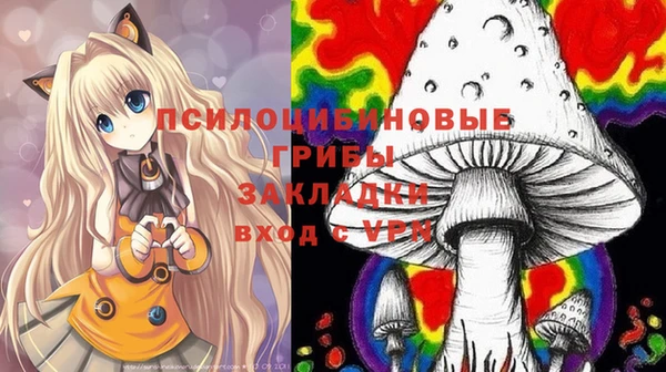гидра Алексин