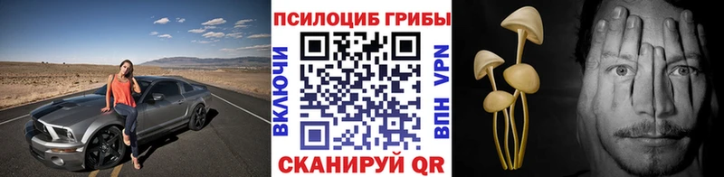 Псилоцибиновые грибы ЛСД Юрьевец